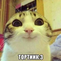  тортиик:3