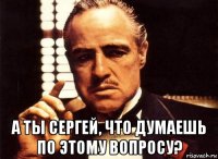  А ТЫ Сергей, что думаешь по этому вопросу?