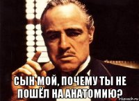  сын мой, почему ты не пошёл на анатомию?