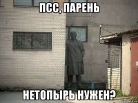 псс, парень нетопырь нужен?