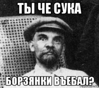 ты че сука борзянки въебал?