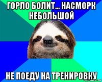 горло болит... насморк небольшой не поеду на тренировку