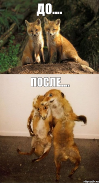 До.... после....