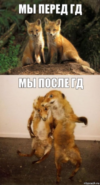 мы перед гд мы после гд