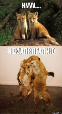 Нууу.... Не запрягали:D