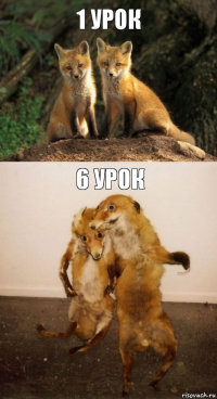 1 урок 6 урок