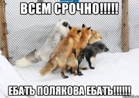 Всем срочно!!!!! Ебать Полякова ебать!!!!!!