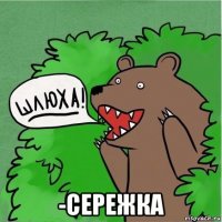  -сережка