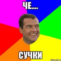 че.... сучки