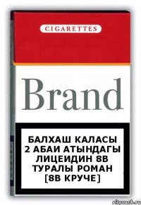 Балхаш каласы 2 абаи атындагы лицеидин 8в туралы роман [8в круче]