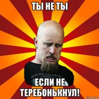 ты не ты если не теребонькнул!