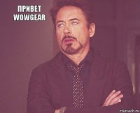 Привет wowgear         