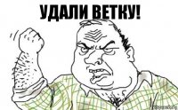 Удали ветку!