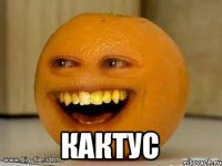  Кактус