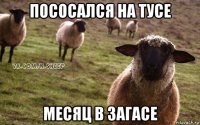 пососался на тусе месяц в загасе