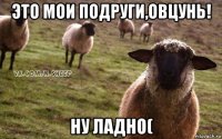 это мои подруги,овцунь! ну ладно(