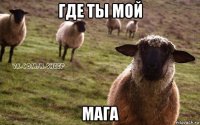 где ты мой мага