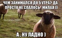 чем занимался до 5 утра? да , просто не спалось , милая )) а , ну ладно )