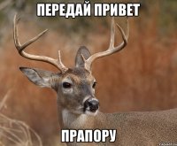 передай привет прапору