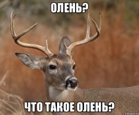 Олень? Что такое олень?