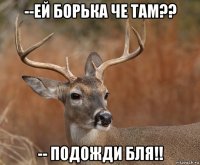 --ей борька че там?? -- подожди бля!!