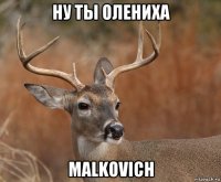 ну ты олениха malkovich