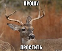 прошу простить