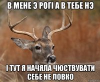 в мене э рогі а в тебе нэ і тут я начяла чюствувати себе не ловко