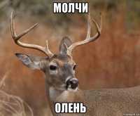 молчи олень