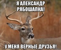 я александр рябошапка! у меня верные друзья!