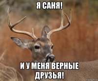 я саня! и у меня верные друзья!