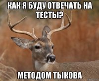 как я буду отвечать на тесты? методом тыкова