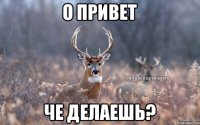 О Привет Че делаешь?