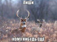 пиши кому нибудь ещё