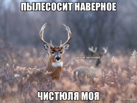 Пылесосит наверное Чистюля моя