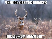 чимось,Свєток,попахує пиздєжом мабуть!!!***