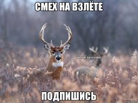 Смех на взлёте ПОДПИШИСЬ