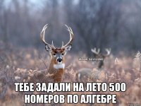  Тебе задали на лето 500 номеров по алгебре