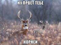 ну првет тебе корней