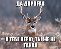 ДА ДОРОГАЯ Я ТЕБЕ ВЕРЮ, ТЫ ЖЕ НЕ ТАКАЯ