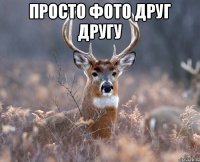 Просто фото друг другу 