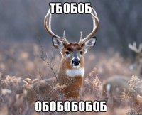 тбобоб обобобобоб