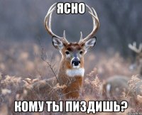 Ясно Кому ты пиздишь?