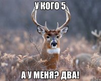 У кого 5 а у меня? два!