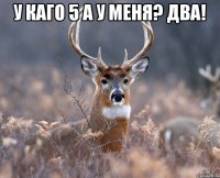 у каго 5 а у меня? два! 