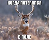 когда потерялся в поле