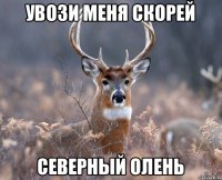 Увози меня скорей Северный олень