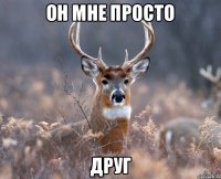 он мне просто друг