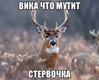 Вика что мутит Стервочка