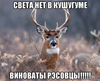 Света нет в Кушугуме Виноваты РЭСовцы!!!!!